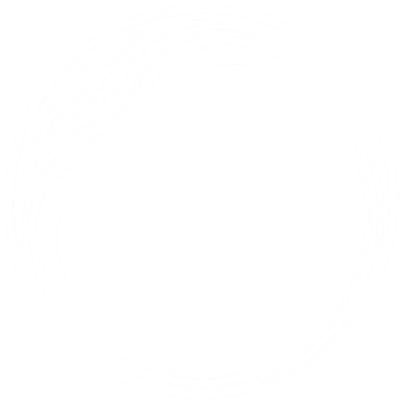 NO-TRACE logo